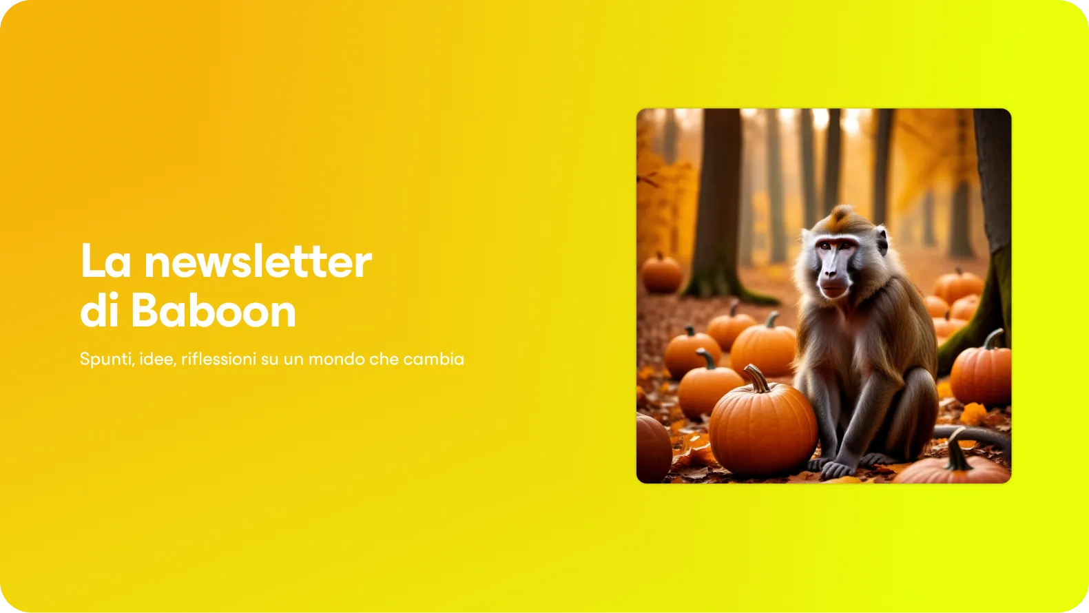 Newsletter Immagine Sito